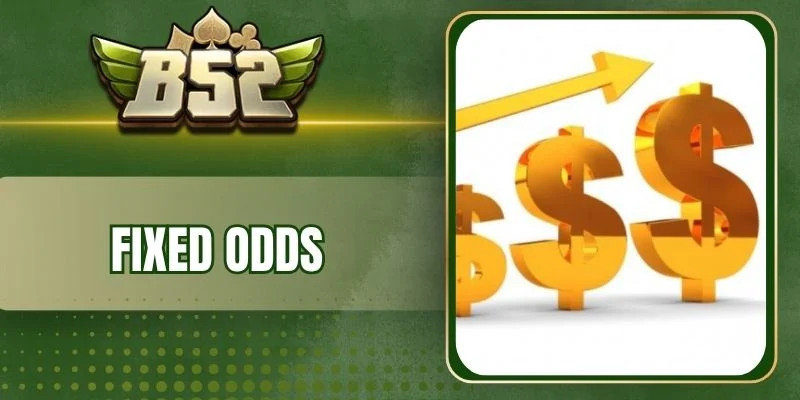 Đặc điểm nổi bật của Fixed Odds